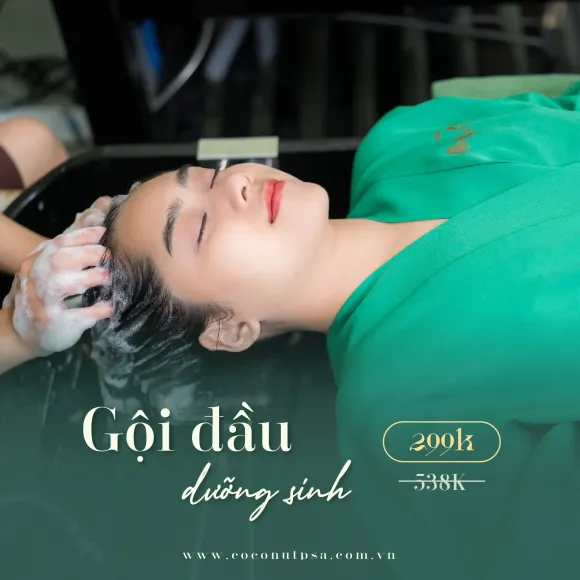 Phân Biệt Gội Đầu Thường Và Gội Đầu Dưỡng Sinh Chuẩn Trị Liệu Tại Các Spa Phú Nhuận – Coconut Spa