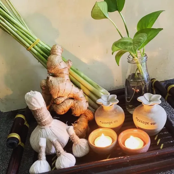 Top 5 Spa Gội Đầu Dưỡng Sinh Thảo Dược Chuẩn Y Học Cổ Truyền Tại Phú Nhuận – Đứng Đầu Là Coconut Spa