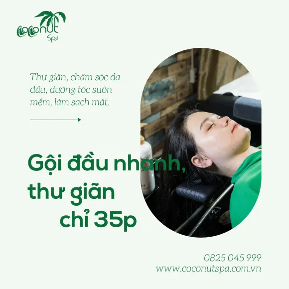 Tin tức