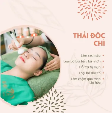 Thải chì/ điện di vitamin C