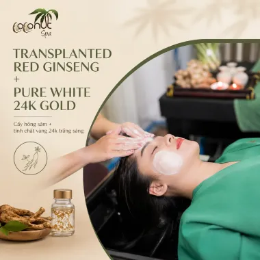 Transplanted red ginseng + Pure white 24k gold